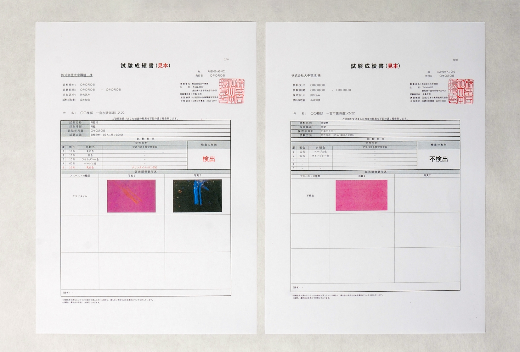 分析結果報告書